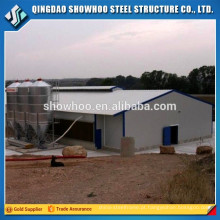 Estrutura de aço Broilehouse House Design Low Cost Steel Poultry Shed